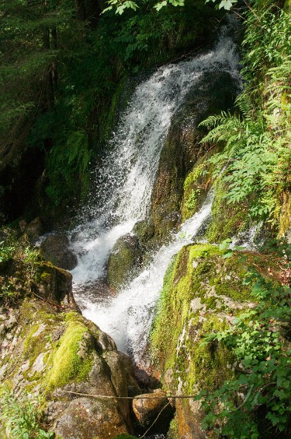 0079Cascade Wildenstein.jpg - SONY DSC
